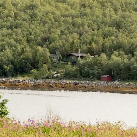Wooden By The Fjord *